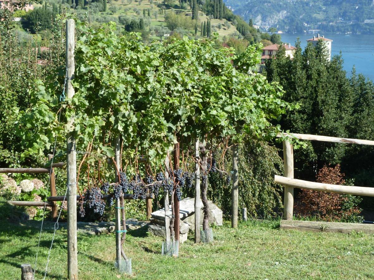 Il Crotto *